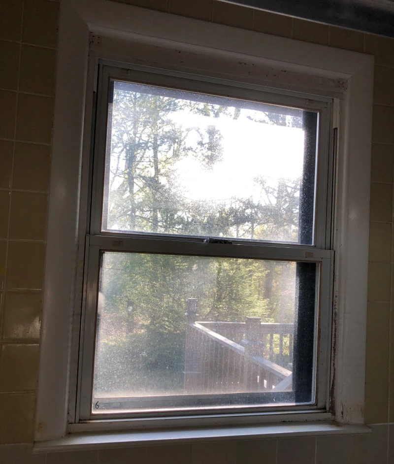 In need of new replacement windows